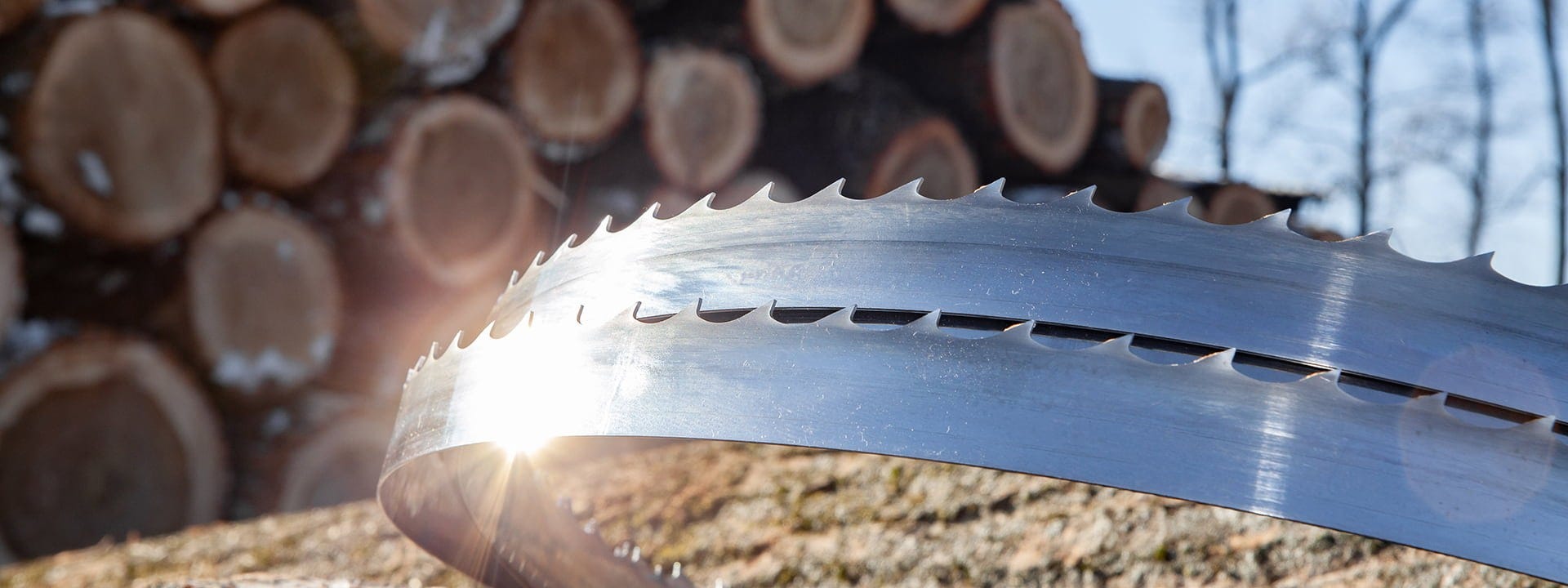 New Wood-Mizer system of marking bandsaw blades