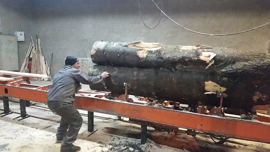 LT40 sawmill at BB-trans company cuts a massive log of 115 cm in diameter 